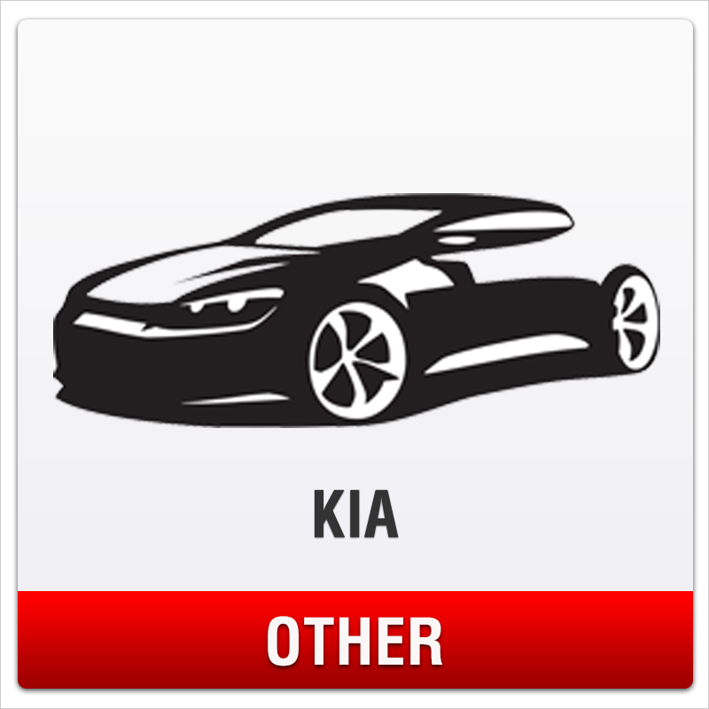 . Kia No-Drill Front License Plate Mount for Other Models