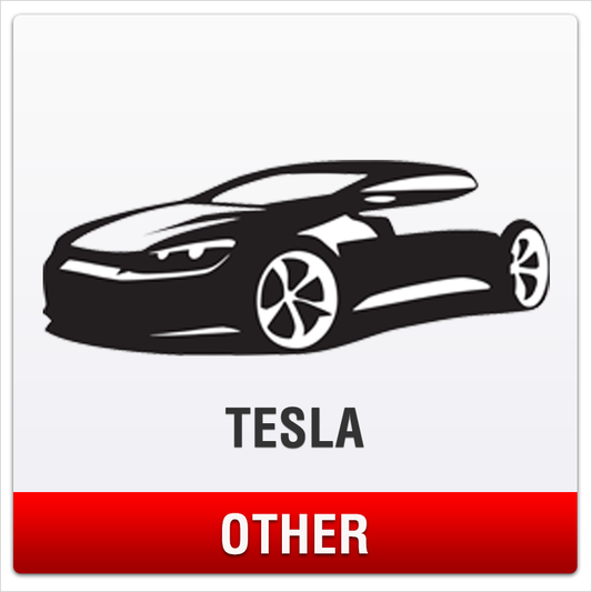 Tesla No-Drill Front License Plate Mount for Other Models