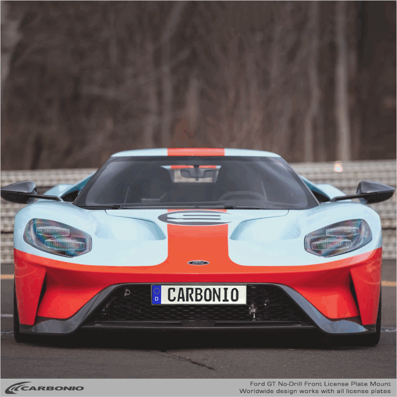 Ford GT (2017-2022) No Drill License Plate Mount