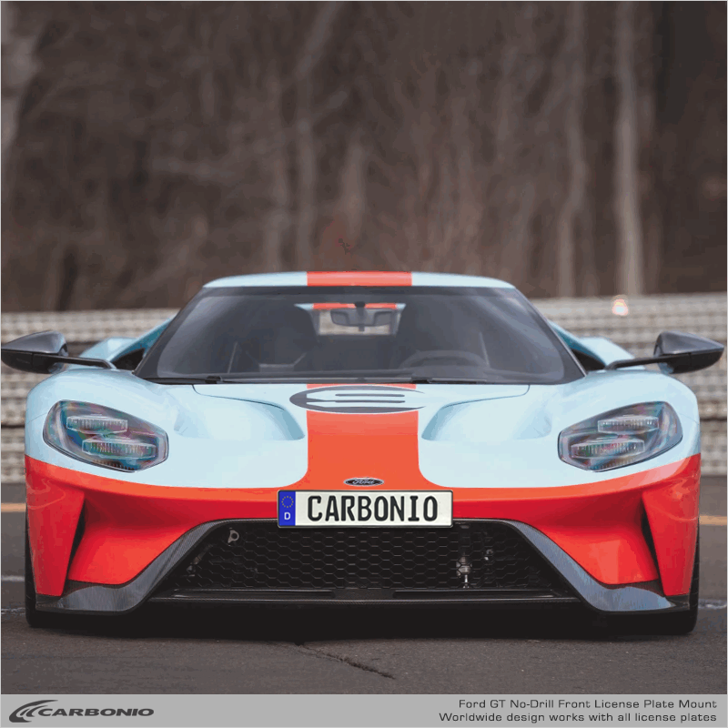 Ford GT (2017-2022) No Drill License Plate Mount