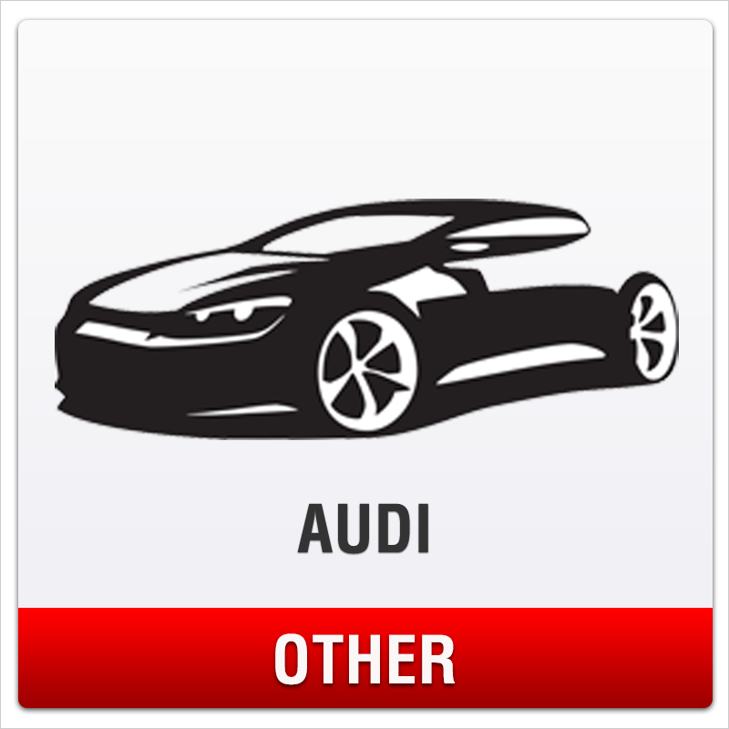 Audi No-Drill Front License Plate Mount for Other Models
