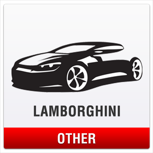 Lamborghini No-Drill Front License Plate Mount for Other Models