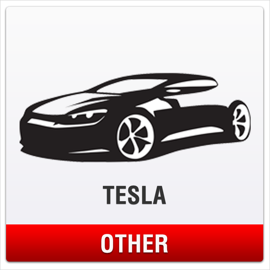 . Tesla No-Drill Front License Plate Mount for Other Models