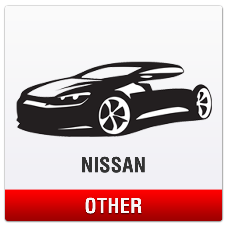 Nissan No-Drill Front License Plate Mount for Other Models