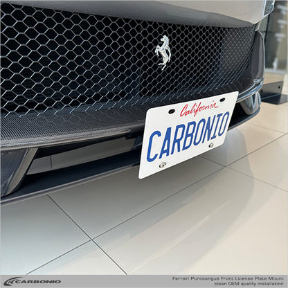 Lamborghini Urus No Drill License Plate Mount – Carbonio